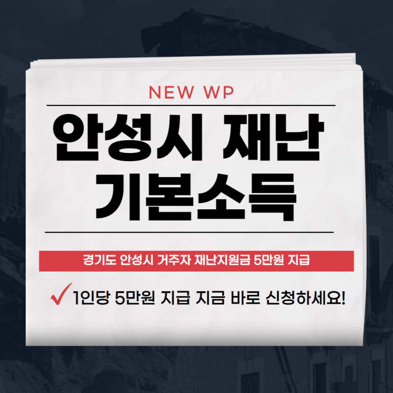 안성시 재난 기본소득