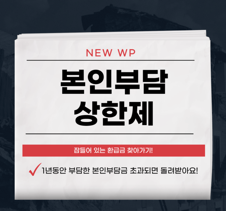 본인부담상한제