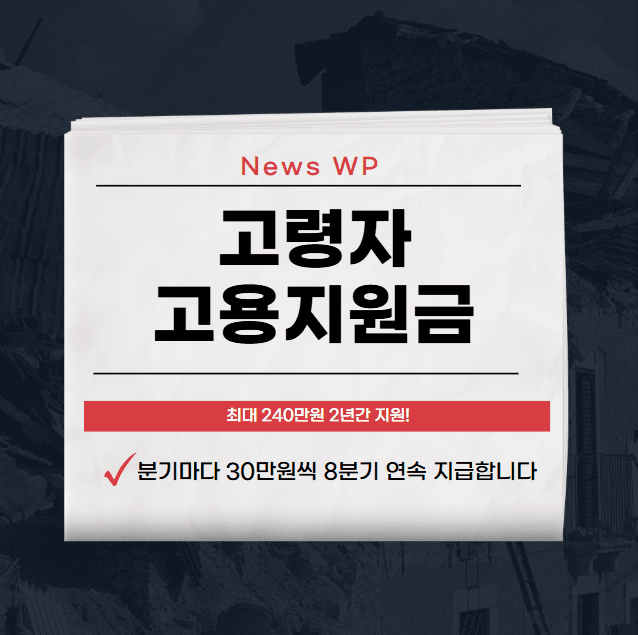 고령자 고용지원금 인당 최대 240만원 2년간 지급 1 고령자 고용지원금