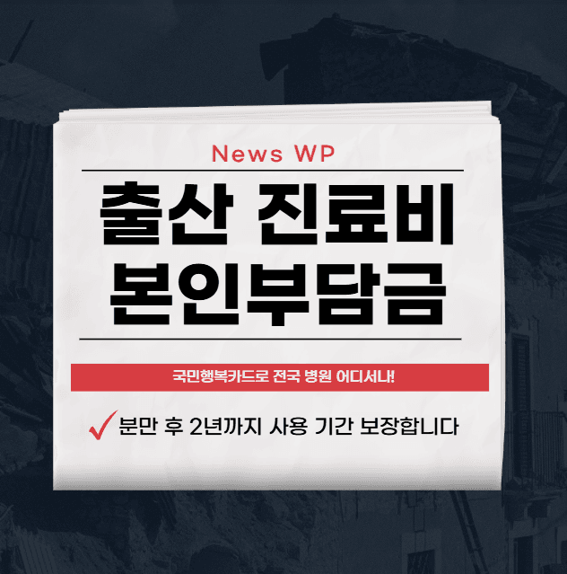출산 진료비 | 바우처 | 사용처 | 지원금 | 사용기간 1 출산 진료비