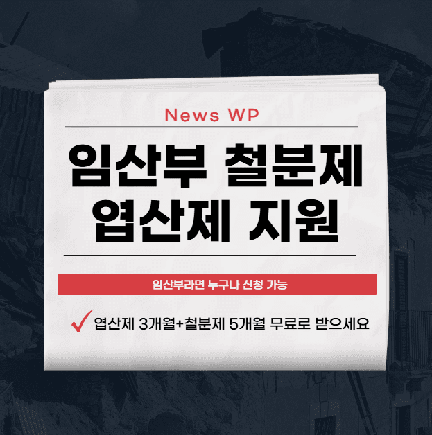 임산부 철분제·엽산제 지원